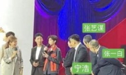 北京朝阳吃瓜 每日大赛 明星资讯娱乐新闻,朝阳每日大赛，明星资讯娱乐新闻速递