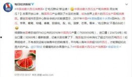 今日吃瓜热心的朝阳群众进入 明星黑料 今日吃瓜是什么软件,揭秘“今日吃瓜”软件背后的秘密